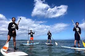 Stand up paddle board